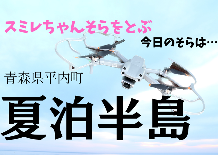 夏泊半島 ドローン サンプル投稿 | スミレちゃんそらをとぶ